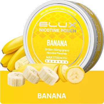 Elux Nicotine Pouches - Pack of 10 - Topvapewholesale