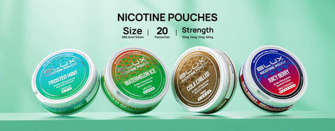 Elux Nicotine Pouches - Pack of 10 - Topvapewholesale