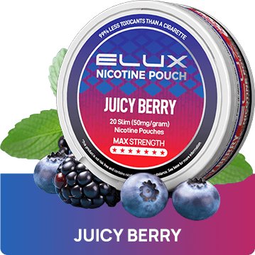 Elux Nicotine Pouches - Pack of 10 - Topvapewholesale
