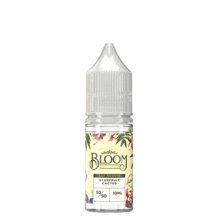 Bloom 10ml Nic Salt (Pack of 10) - Topvapewholesale