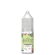 Bloom 10ml Nic Salt (Pack of 10) - Topvapewholesale